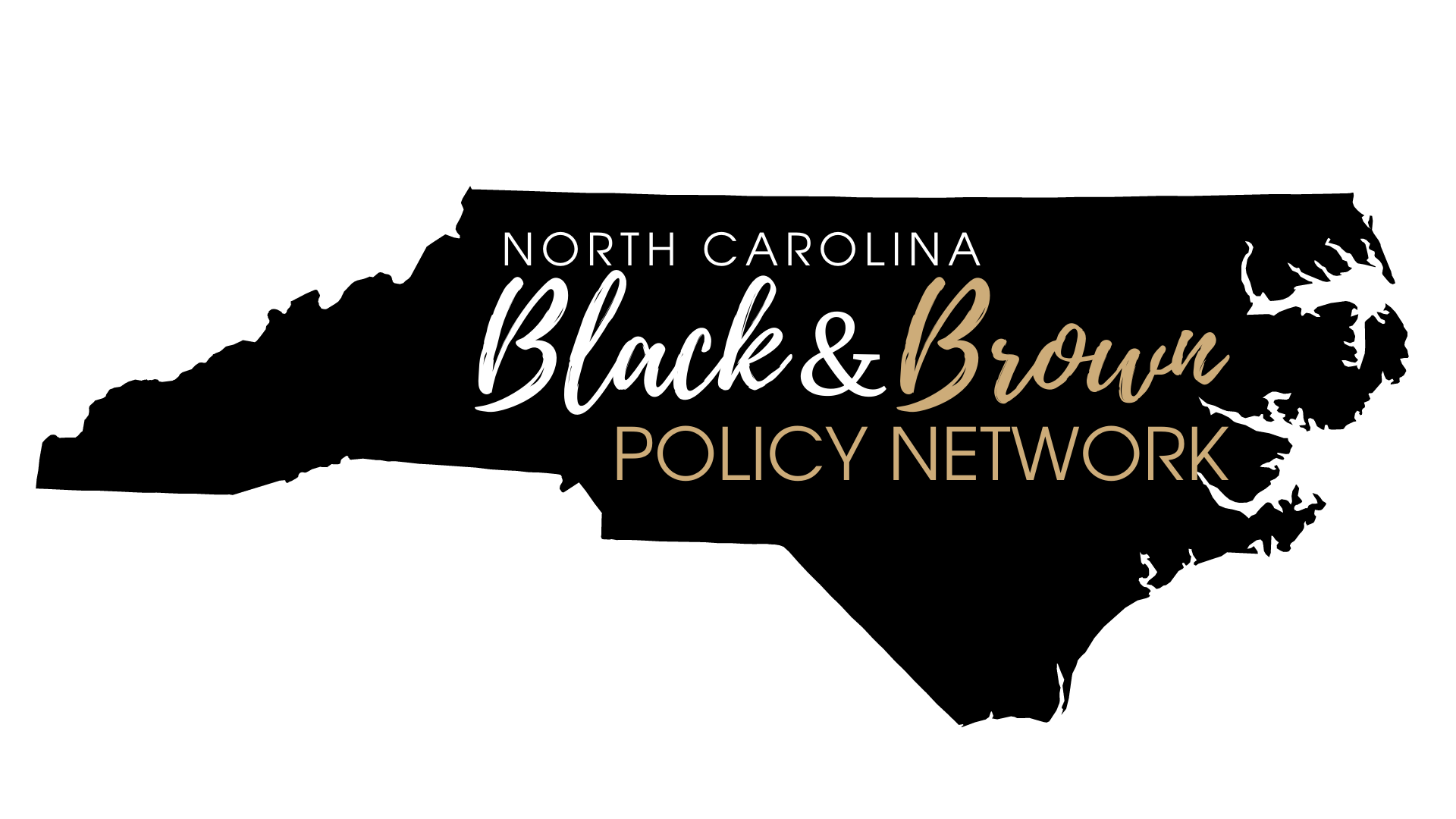 Black and Brown Policy Network